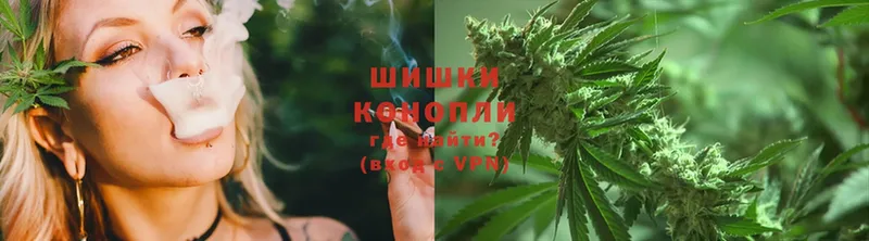 Канабис OG Kush  цена   Игарка 